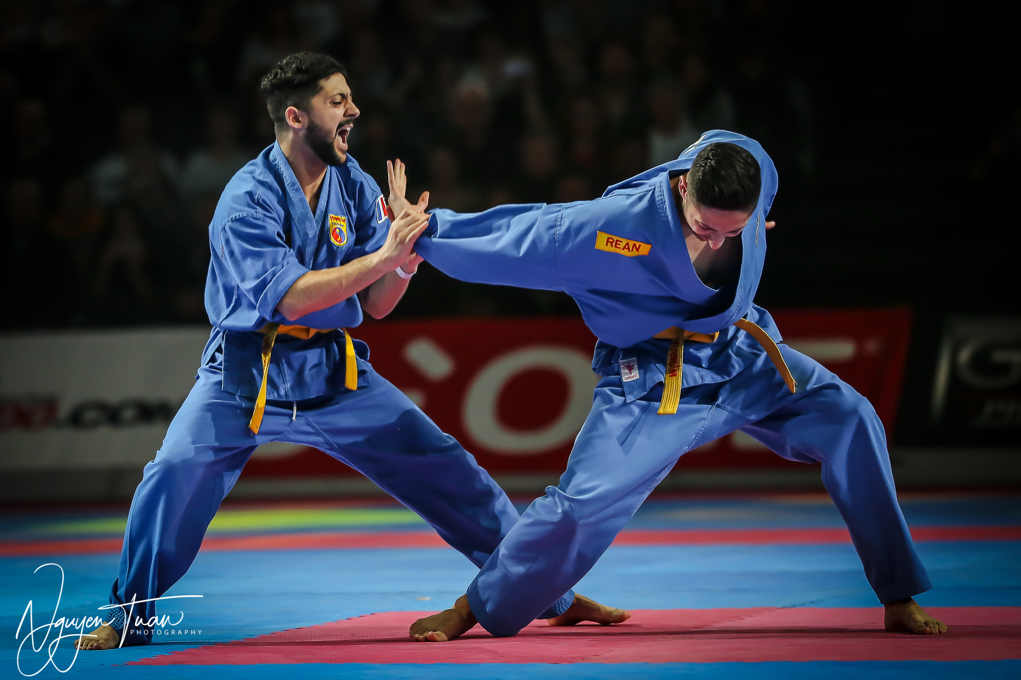 20190324 Festival des Arts Martiaux 2571